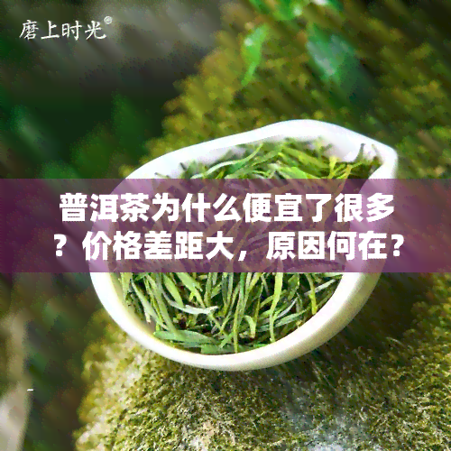 普洱茶为什么便宜了很多？价格差距大，原因何在？