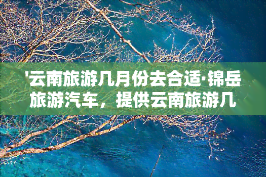 '云南旅游几月份去合适·锦岳旅游汽车，提供云南旅游几月去更好、几月份旅游更好的时间及云南旅游几月份去更佳时间的信息。'