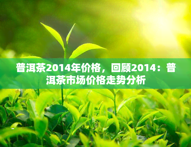 普洱茶2014年价格，回顾2014：普洱茶市场价格走势分析