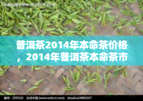 普洱茶2014年本命茶价格，2014年普洱茶本命茶市场价格走势分析