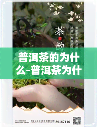 普洱茶的为什么-普洱茶为什么没有味道