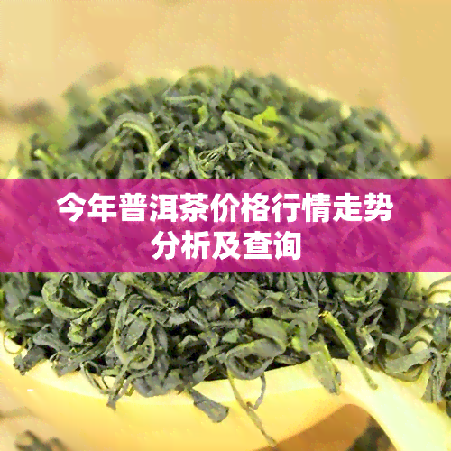 今年普洱茶价格行情走势分析及查询