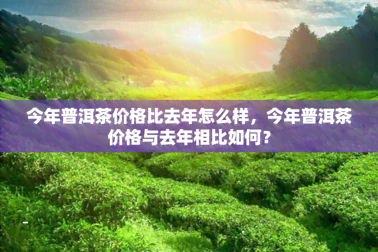 今年普洱茶价格比去年怎么样，今年普洱茶价格与去年相比如何？