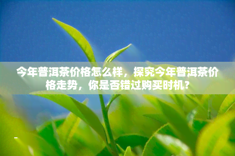 今年普洱茶价格怎么样，探究今年普洱茶价格走势，你是否错过购买时机？