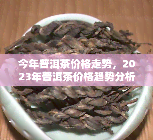 今年普洱茶价格走势，2023年普洱茶价格趋势分析与预测