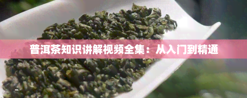 普洱茶知识讲解视频全集：从入门到精通