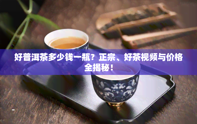 好普洱茶多少钱一瓶？正宗、好茶视频与价格全揭秘！