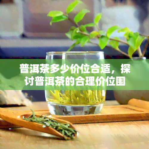 普洱茶多少价位合适，探讨普洱茶的合理价位围