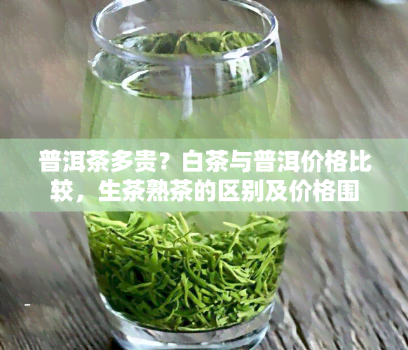 普洱茶多贵？白茶与普洱价格比较，生茶熟茶的区别及价格围