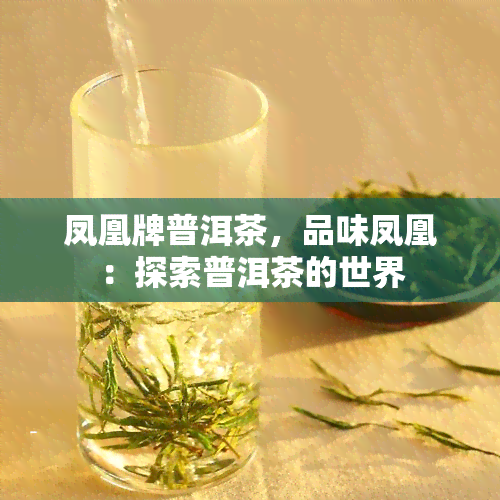 凤凰牌普洱茶，品味凤凰：探索普洱茶的世界