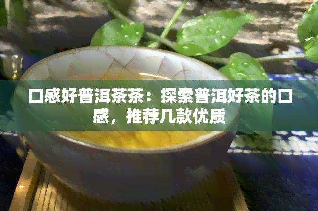 口感好普洱茶茶：探索普洱好茶的口感，推荐几款优质