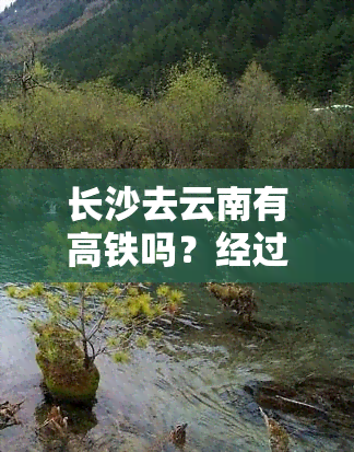 长沙去云南有高铁吗？经过哪些省份，今天的价格是多少？