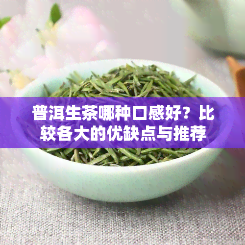 普洱生茶哪种口感好？比较各大的优缺点与推荐