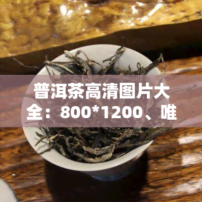 普洱茶高清图片大全：800*1200、唯美真实一网打尽！