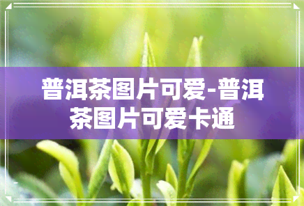 普洱茶图片可爱-普洱茶图片可爱卡通