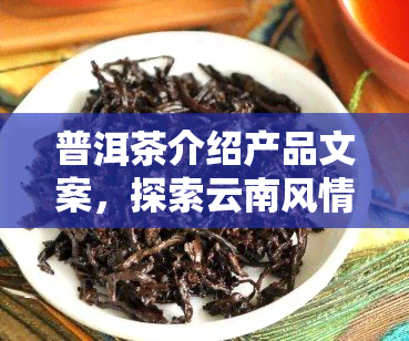 普洱茶介绍产品文案，探索云南风情：了解普洱茶的魅力与独特之处