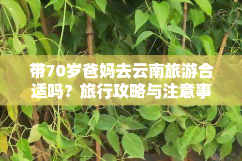 带70岁爸妈去云南旅游合适吗？旅行攻略与注意事项