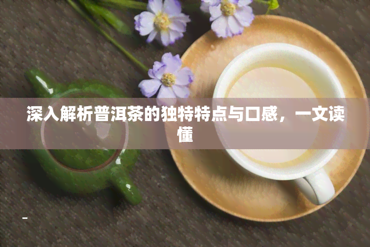 深入解析普洱茶的独特特点与口感，一文读懂