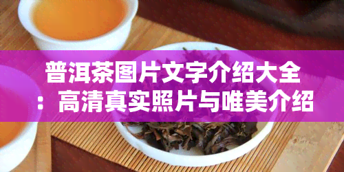 普洱茶图片文字介绍大全：高     实照片与唯美介绍