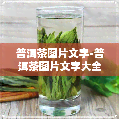 普洱茶图片文字-普洱茶图片文字大全