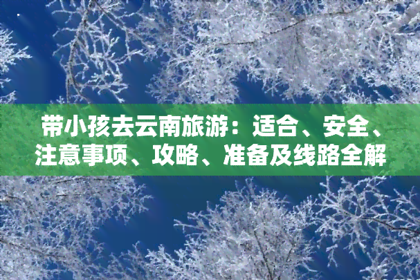 带小孩去云南旅游：适合、安全、注意事项、攻略、准备及线路全解析