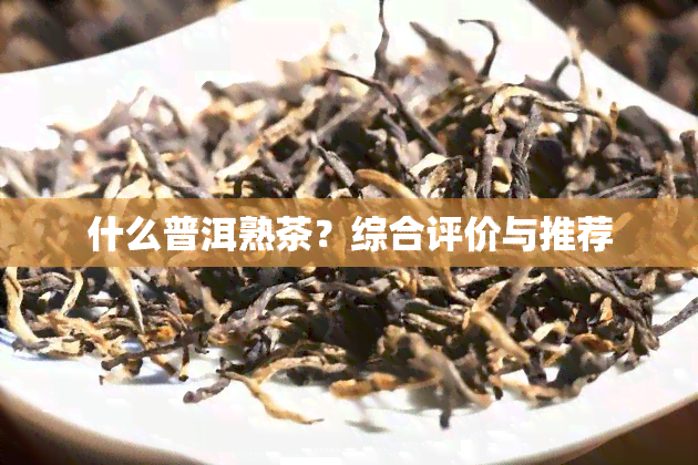 什么普洱熟茶？综合评价与推荐