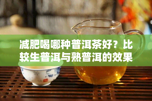 减肥喝哪种普洱茶好？比较生普洱与熟普洱的效果