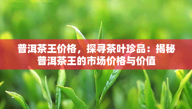 普洱茶王价格，探寻茶叶珍品：揭秘普洱茶王的市场价格与价值