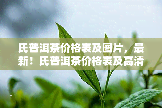 氏普洱茶价格表及图片，最新！氏普洱茶价格表及高清图片全览