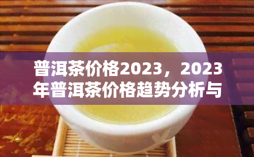 普洱茶价格2023，2023年普洱茶价格趋势分析与预测