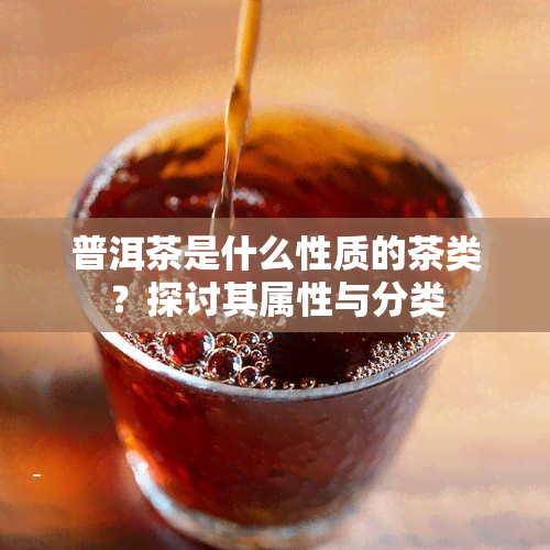 普洱茶是什么性质的茶类？探讨其属性与分类