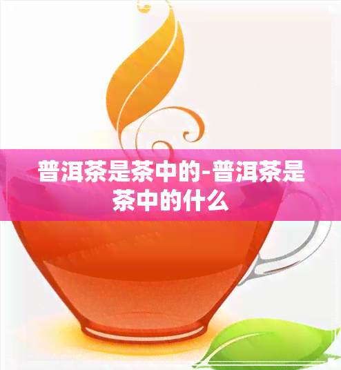 普洱茶是茶中的-普洱茶是茶中的什么