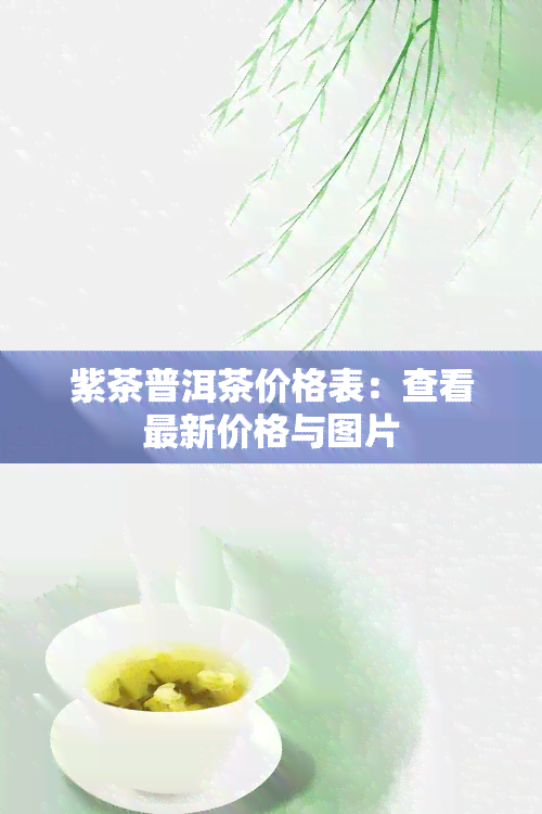 紫茶普洱茶价格表：查看最新价格与图片