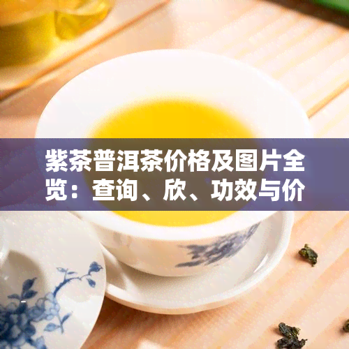 紫茶普洱茶价格及图片全览：查询、欣、功效与价格一览