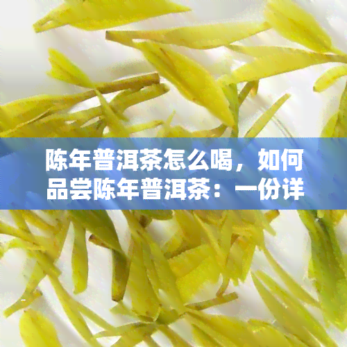 陈年普洱茶怎么喝，如何品尝陈年普洱茶：一份详细的指南