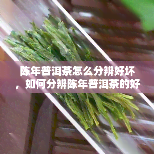 陈年普洱茶怎么分辨好坏，如何分辨陈年普洱茶的好坏？