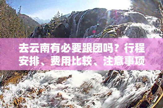 去云南有必要跟团吗？行程安排、费用比较、注意事项全解析