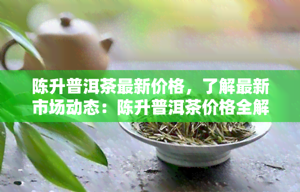 陈升普洱茶最新价格，了解最新市场动态：陈升普洱茶价格全解析