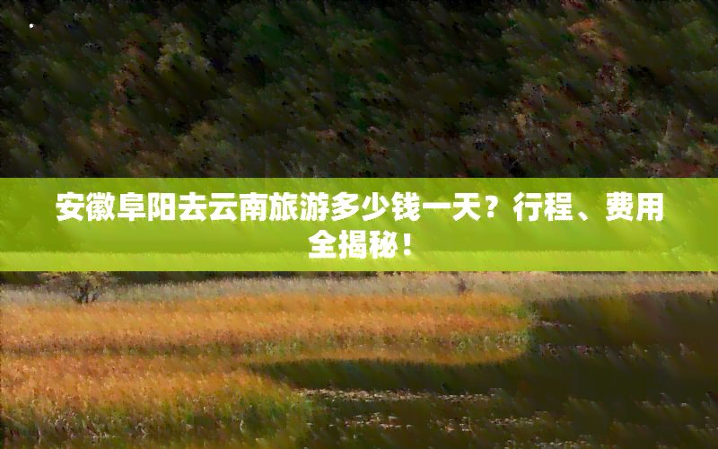 安徽阜阳去云南旅游多少钱一天？行程、费用全揭秘！