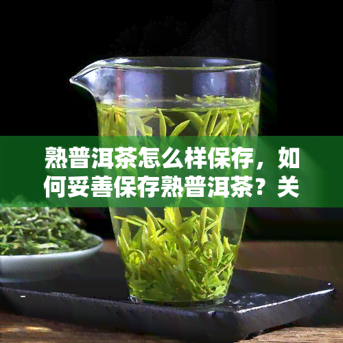 熟普洱茶怎么样保存，如何妥善保存熟普洱茶？关键步骤大揭秘！