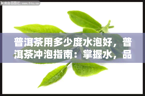 普洱茶用多少度水泡好，普洱茶冲泡指南：掌握水，品味醇厚韵味