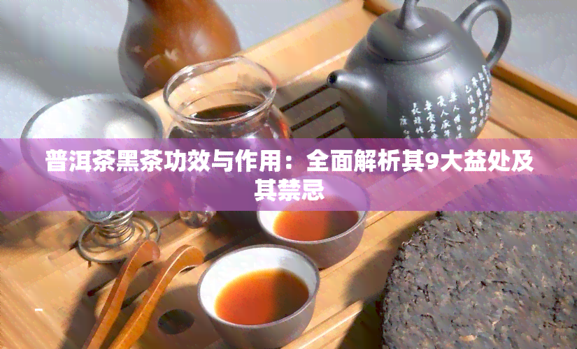 普洱茶黑茶功效与作用：全面解析其9大益处及其禁忌