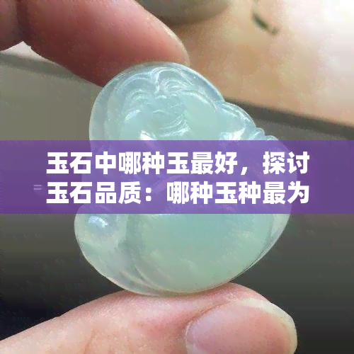 玉石中哪种玉更好，探讨玉石品质：哪种玉种最为珍贵？