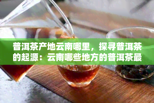 普洱茶产地云南哪里，探寻普洱茶的起源：云南哪些地方的普洱茶更优质？