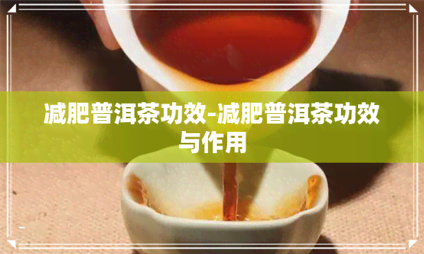 减肥普洱茶功效-减肥普洱茶功效与作用