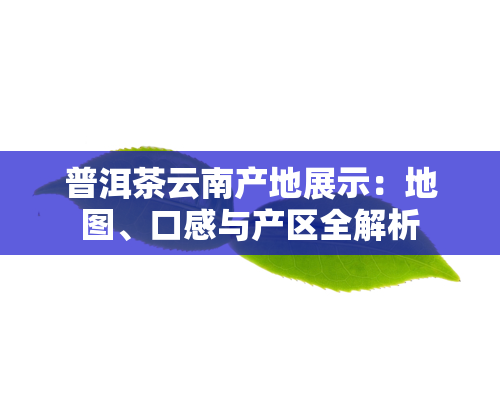 普洱茶云南产地展示：地图、口感与产区全解析