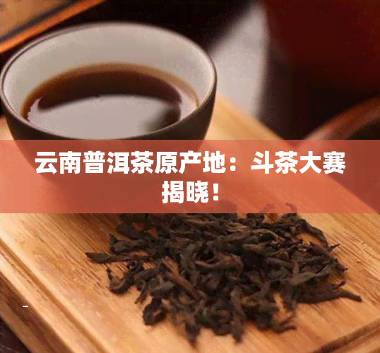 云南普洱茶原产地：斗茶大赛揭晓！