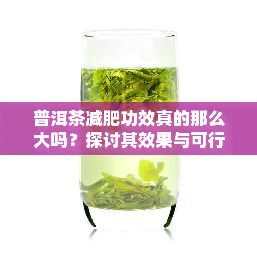 普洱茶减肥功效真的那么大吗？探讨其效果与可行性