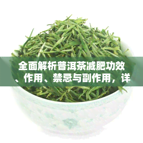 全面解析普洱茶减肥功效、作用、禁忌与副作用，详解普洱茶的减肥效果