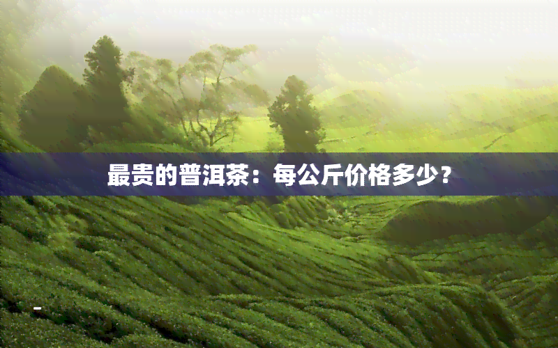 最贵的普洱茶：每公斤价格多少？